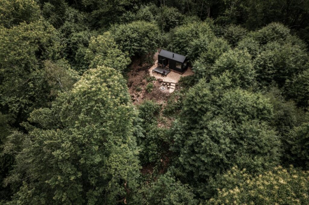 An aerial shot shows a small, black cabin nestled in a clearing surrounded by lush green trees, with a picnic table and fire pit outside.
