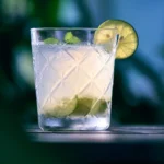 In a high ball glass sits a clear-ish drink, called Bet the Ranch