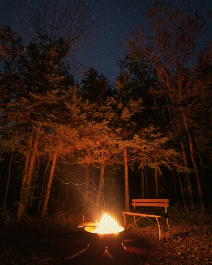 A fire and a bench outside in the woods sit under a sky full of astrological stars to represent the fall horoscope.