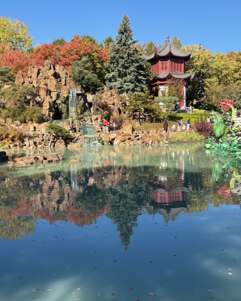 A pond reflects trees and a Japanese style pagoda.