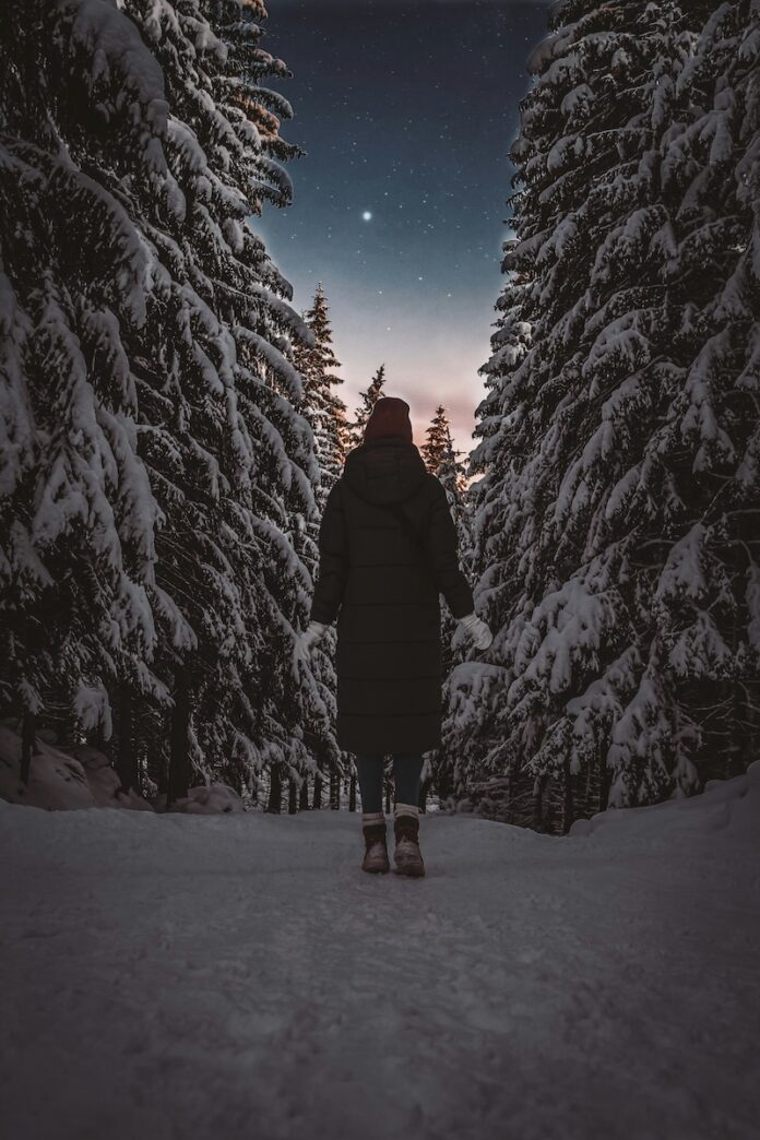 A person walking through the winter forest at night.