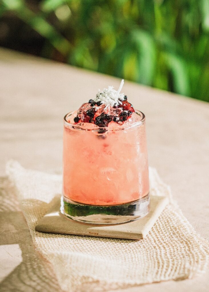 Blackberry Penicillin with cherry garnish and greenery in the background