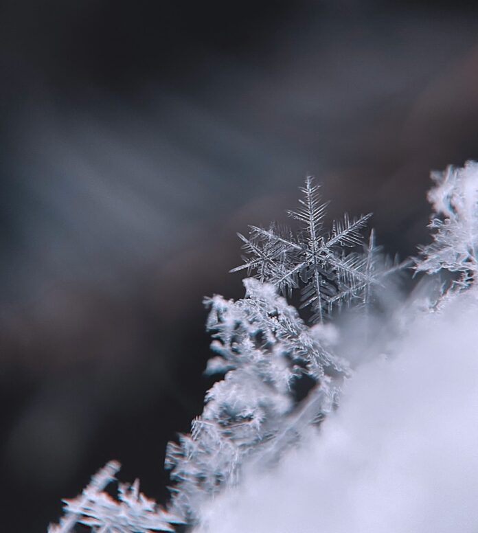 Your January 2026 Horoscope for the Full Moon in Cancer January snowflakes of ice on a window up-close.