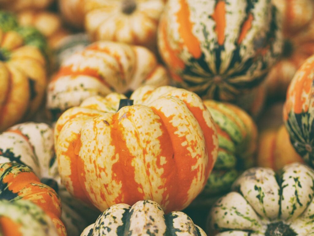 Pumpkins sit on top of each other in orange and green.