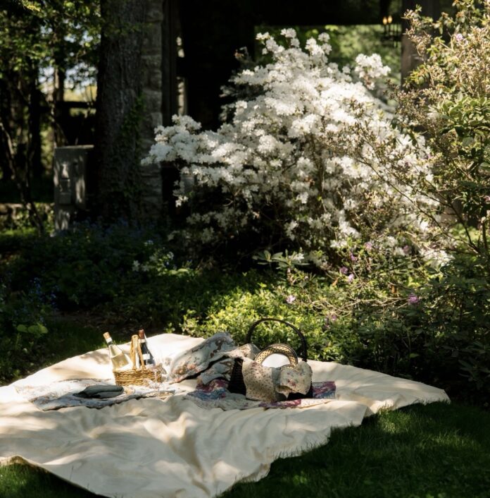 A picnic setting out by a blooming bush.