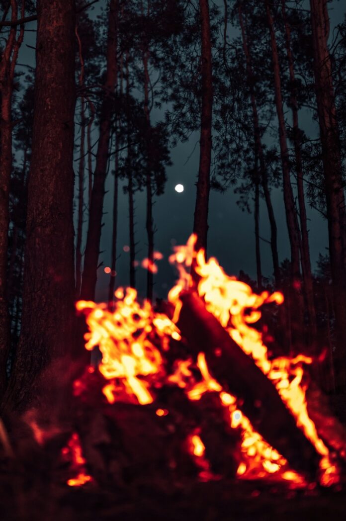 A campfire under a full moon in the woods with trees overhead.